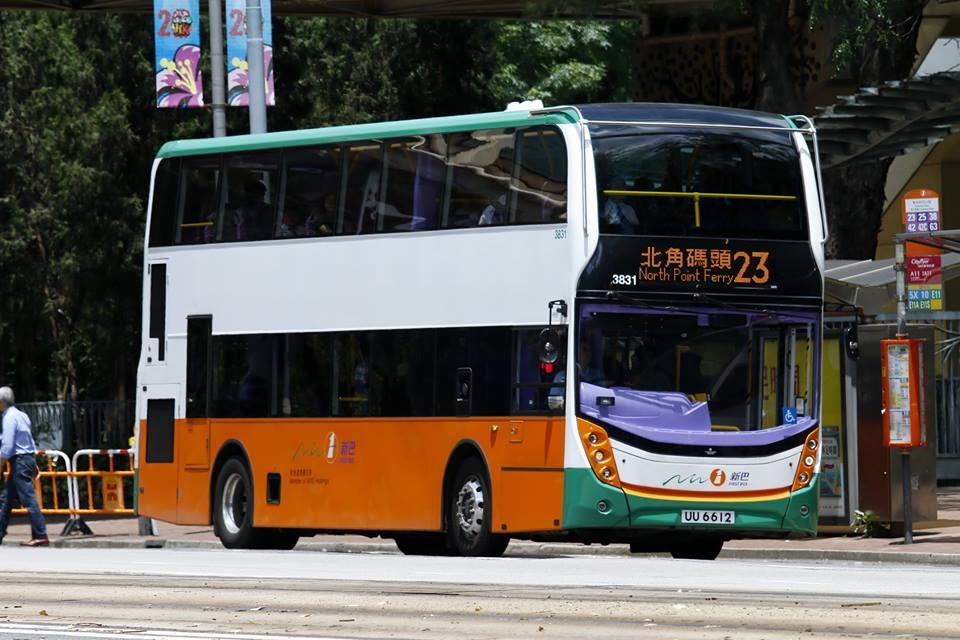 3831.jpg