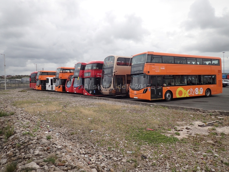 Line up 2-L.jpg