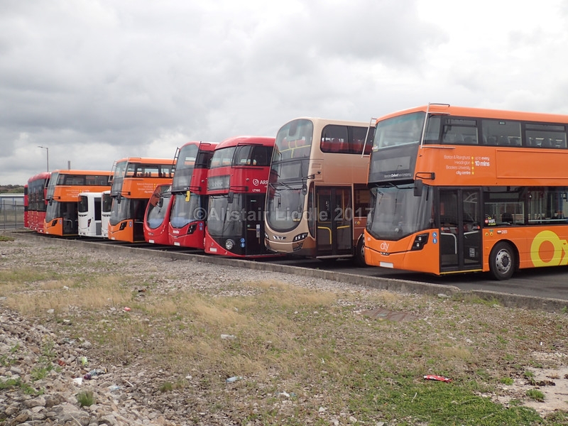Line up 1-L.jpg