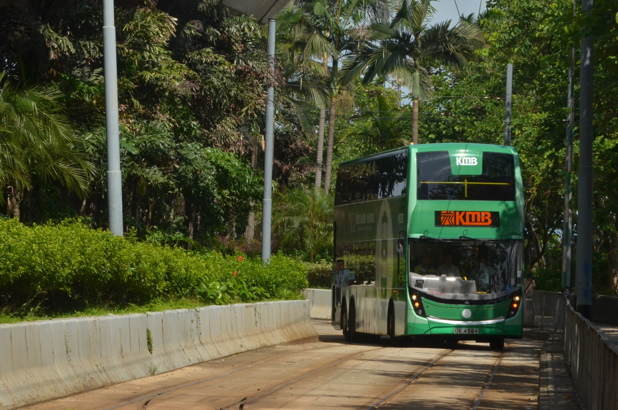 DSC_0225.JPG