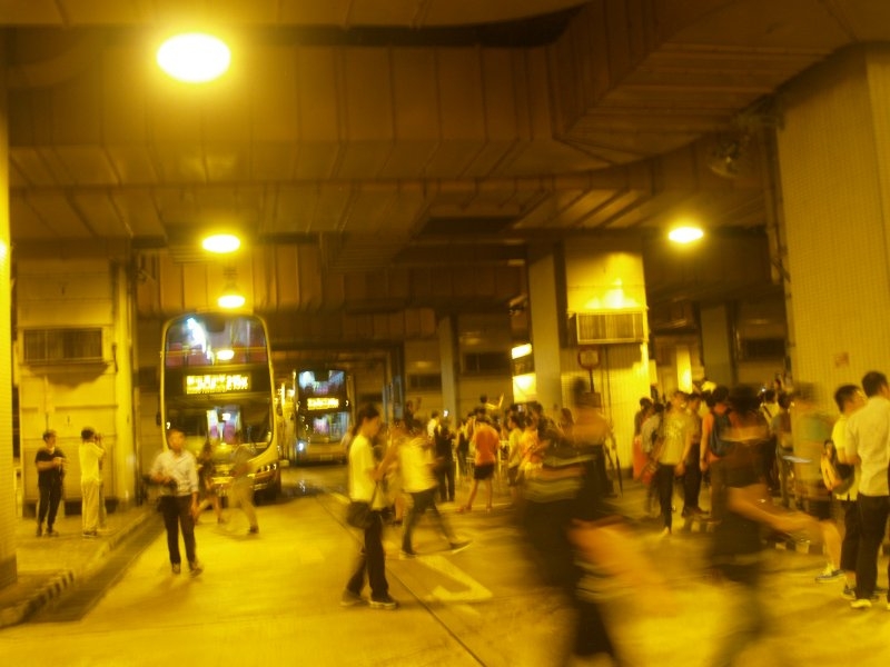 P1011992_1.jpg