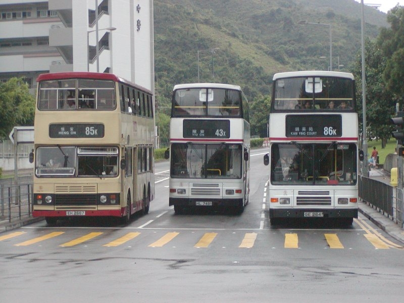 3_girlbuses_2.jpg