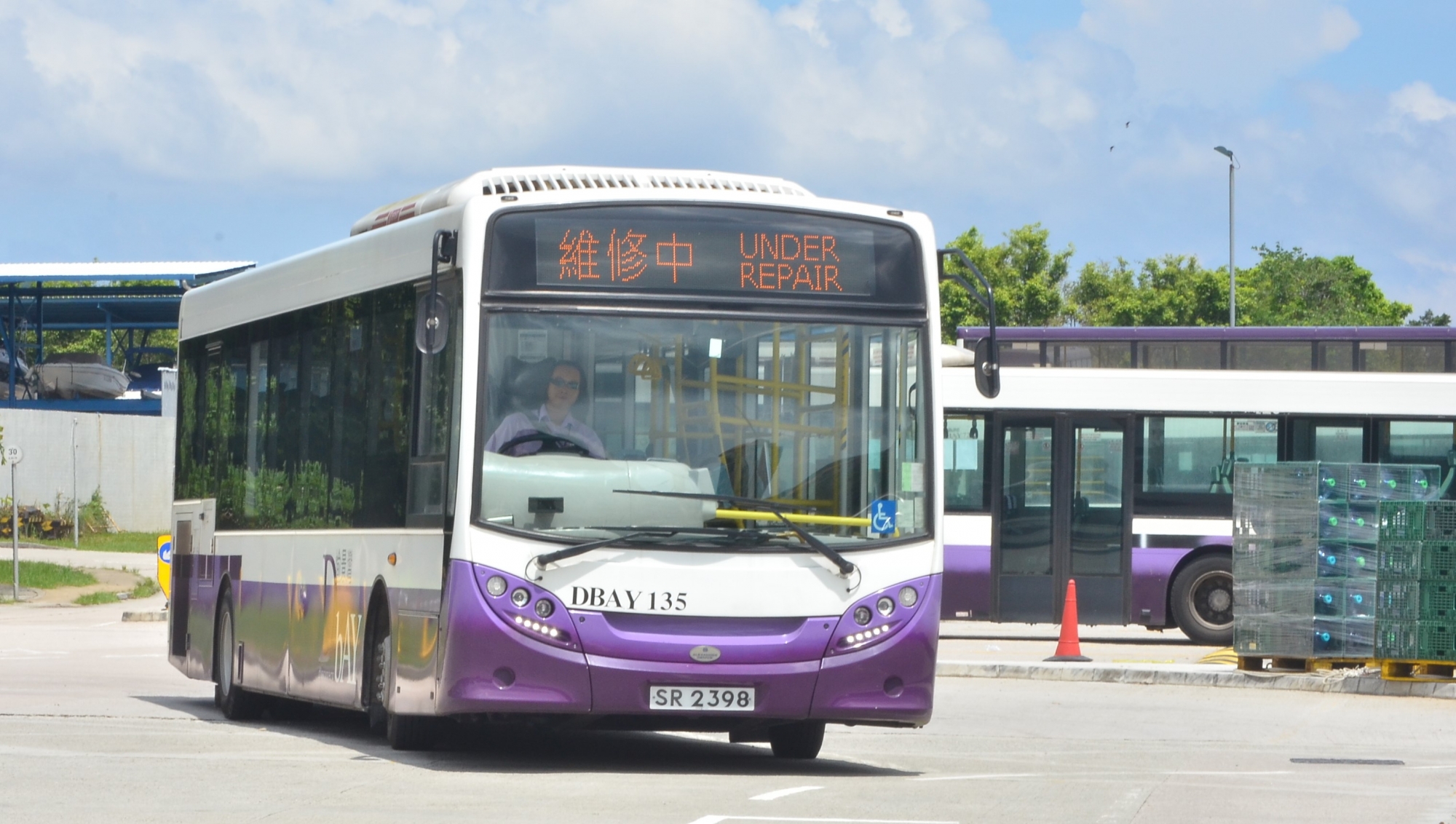 DSC_2519 - 複製.JPG
