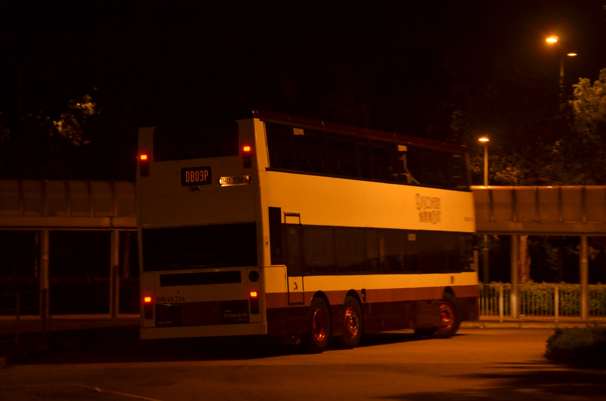 DSC_3230.JPG