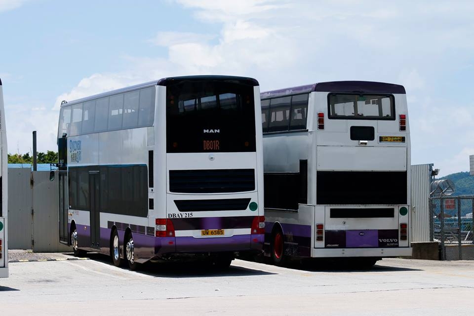 DBAY215.jpg