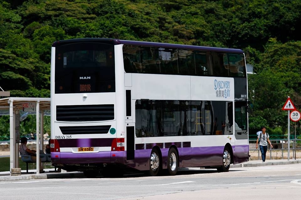 DBAY215 3.jpg