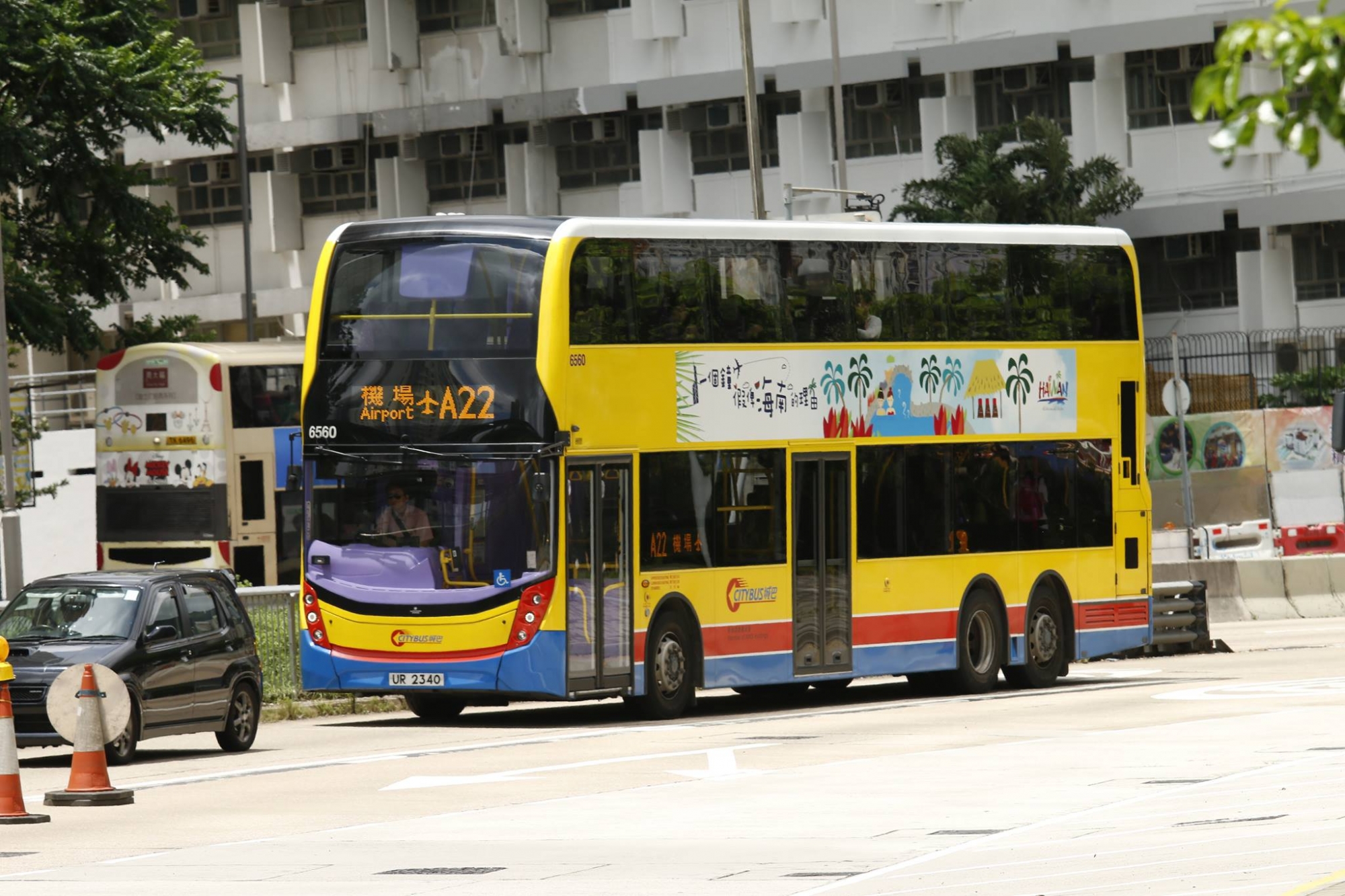 6560.jpg