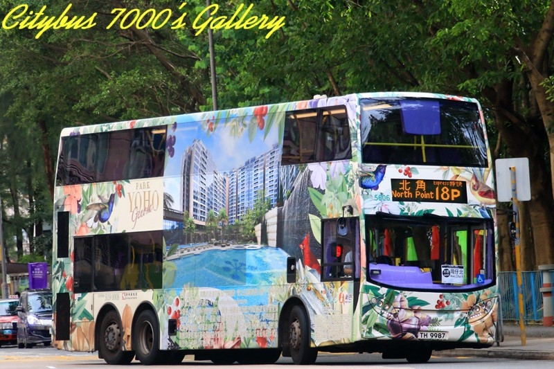 5606.jpg