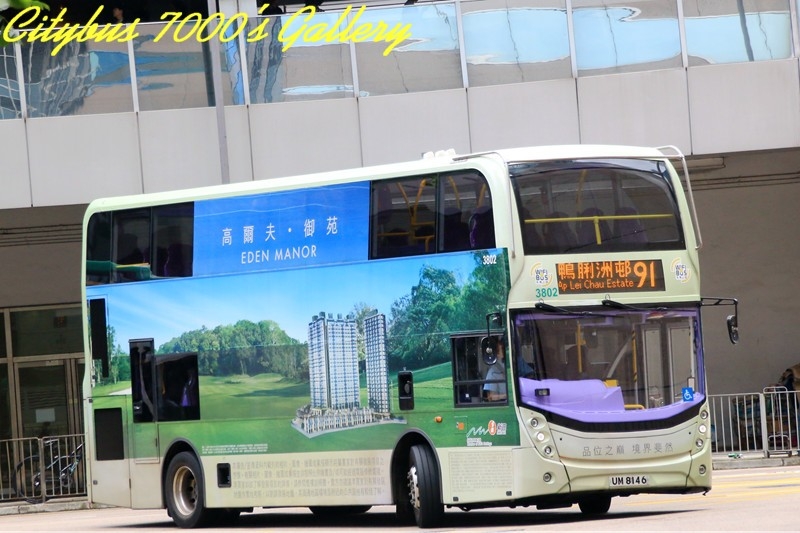 3802.jpg