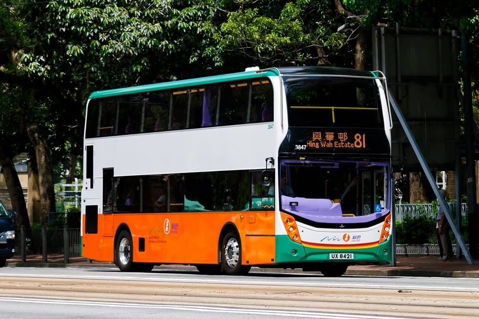 3847.jpg