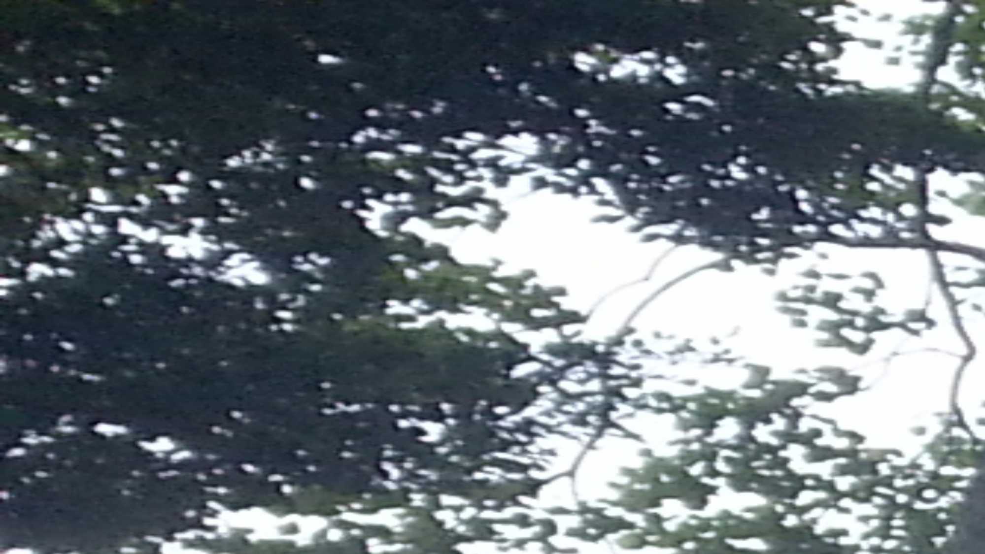 IMG-20170729-WA0029.jpeg