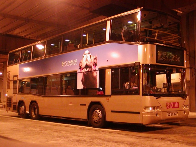 k_ap18_1.jpg