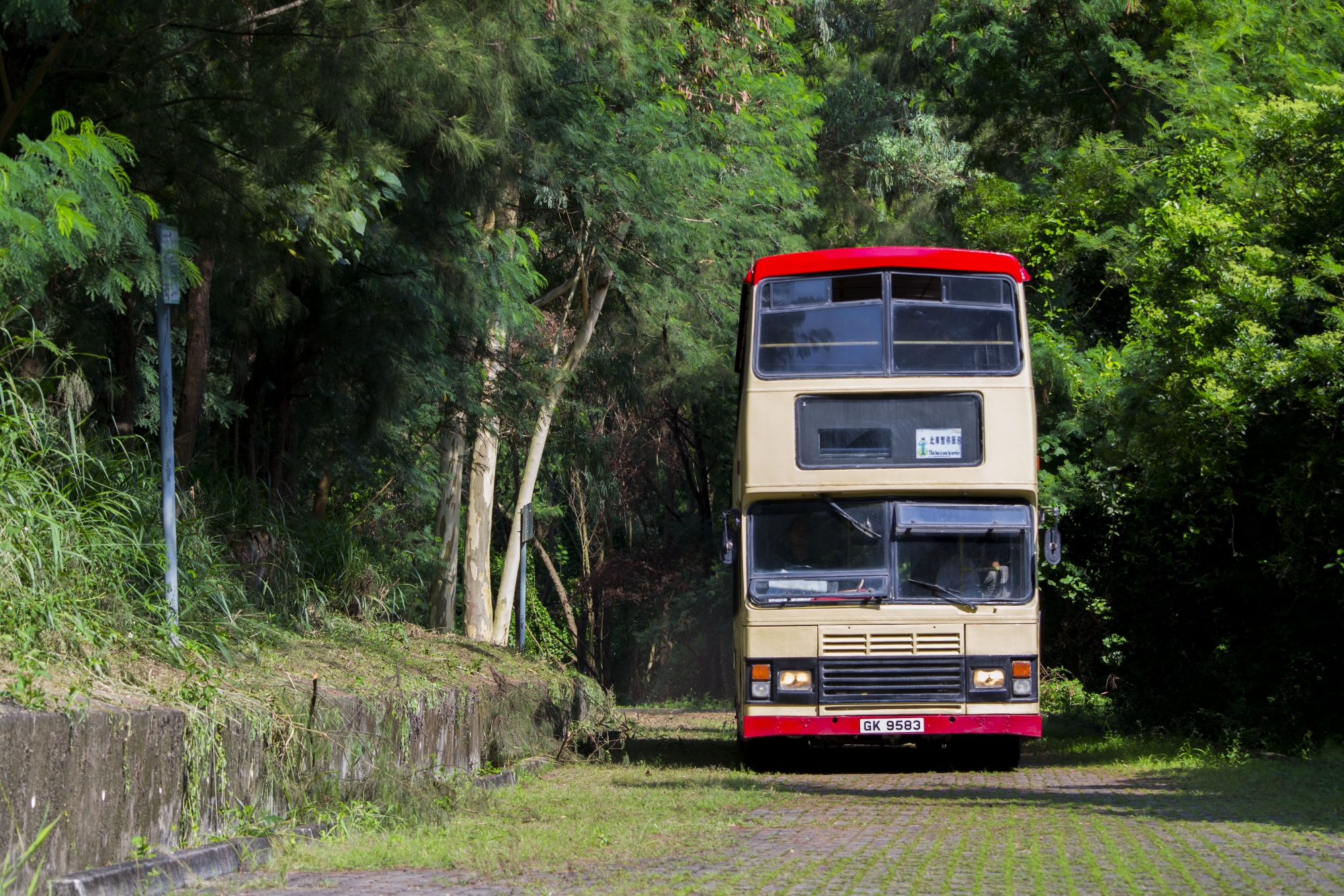 DSC_1521.jpg