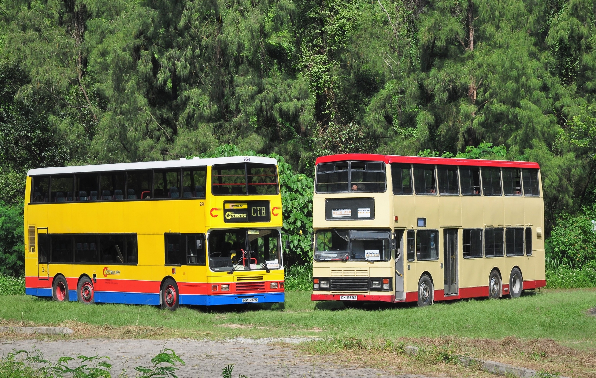 DSC_3082.JPG