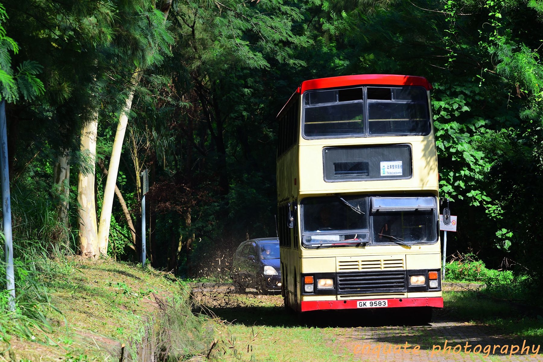 DSC_0553.jpg
