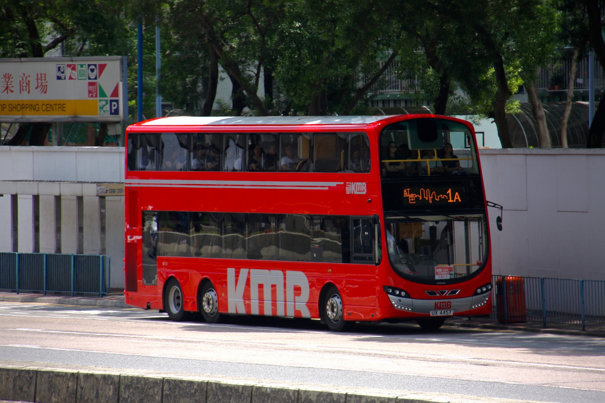 IMG_5603.jpg