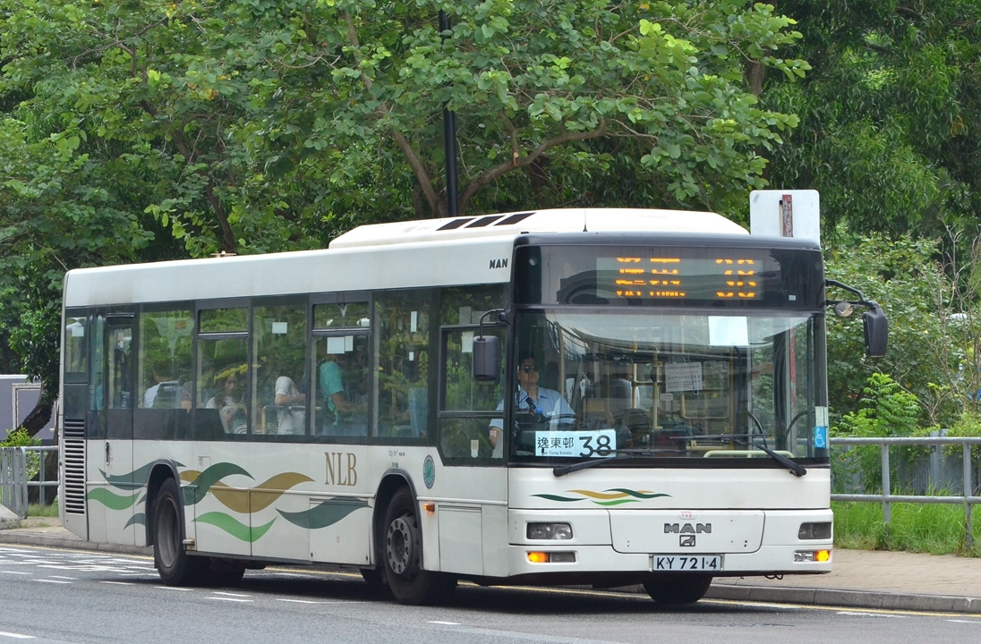 DSC_9696 - 複製.JPG