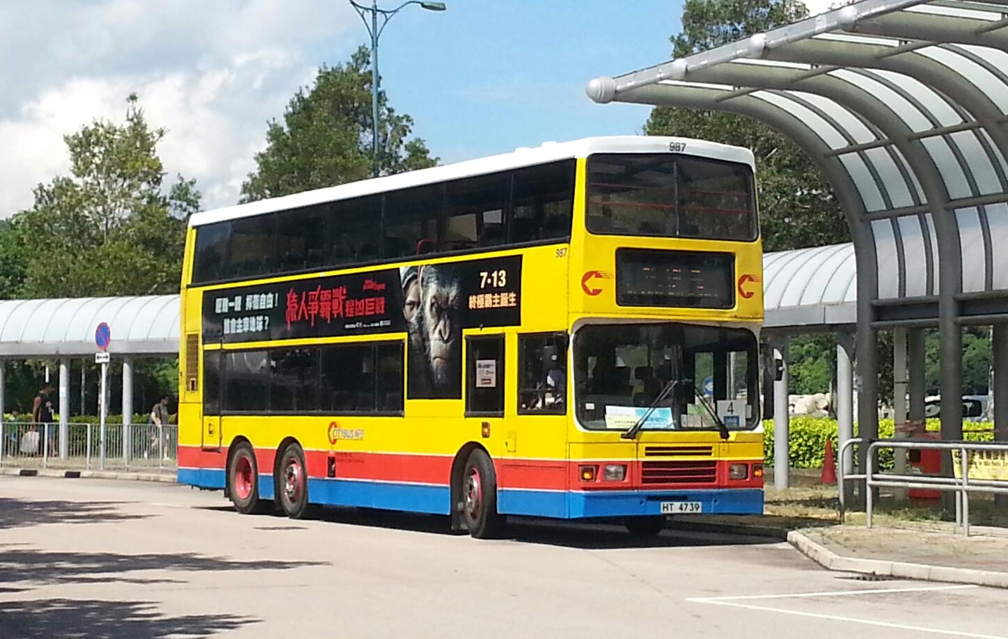 DB C (3).jpeg