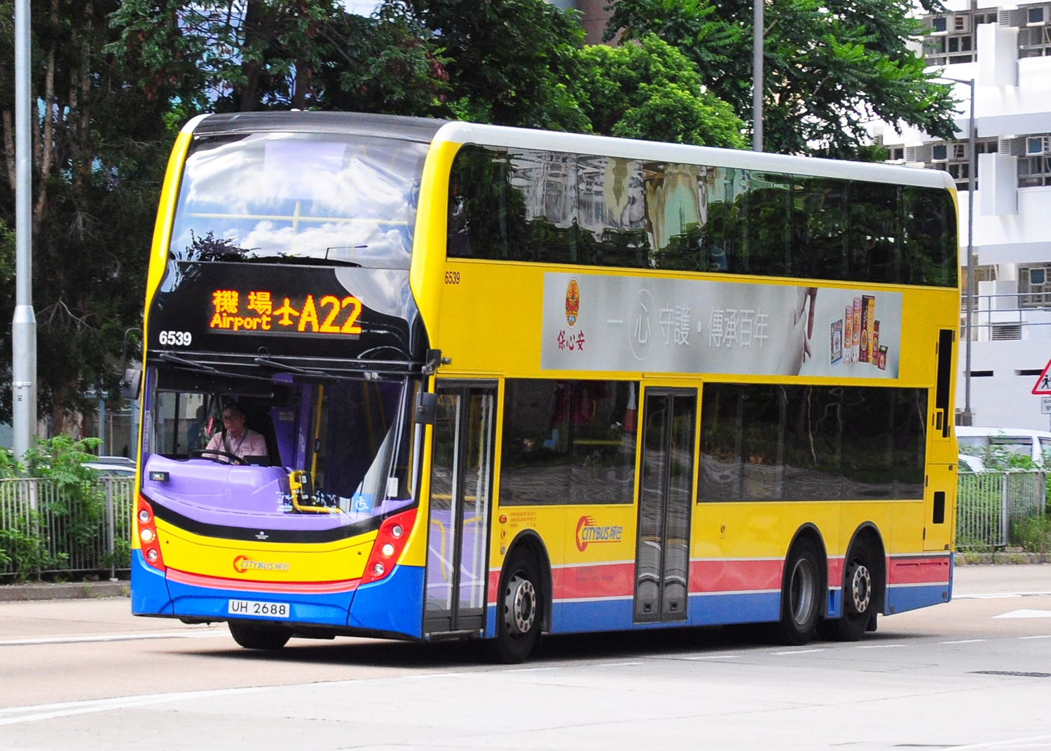 6539.jpg