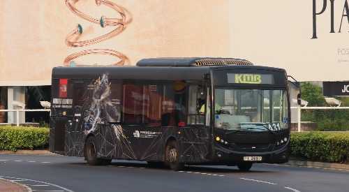 6176653088_IMG_9733.JPG