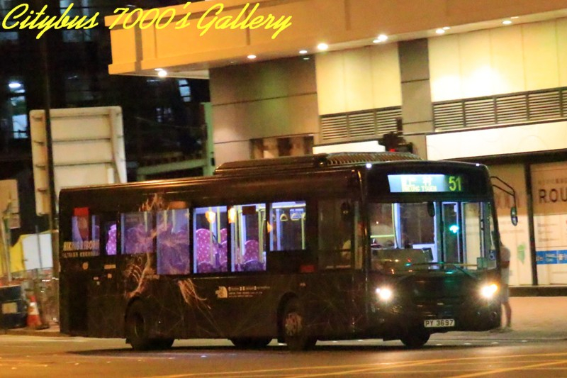 PY3697.jpg