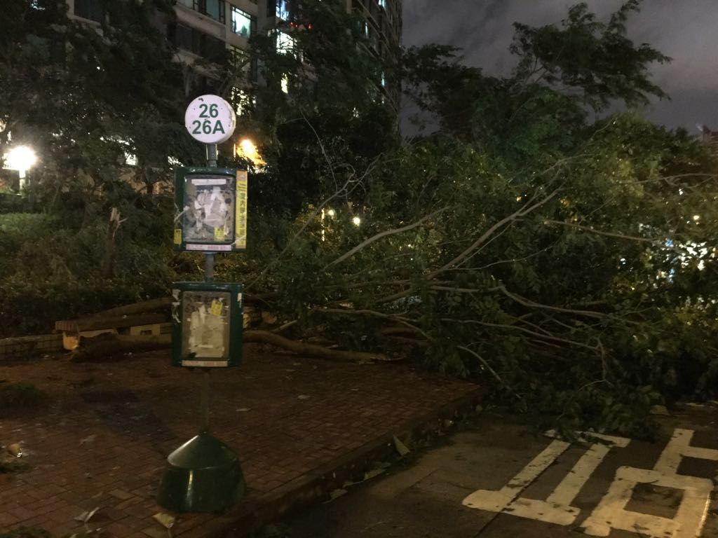 紅磡南道 (3).jpeg