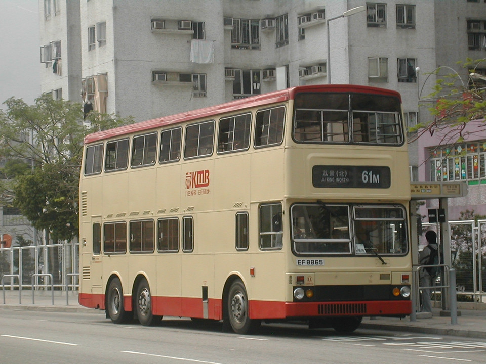 DSCN9995(S3M172-EF8865@61M) - 複製.JPG