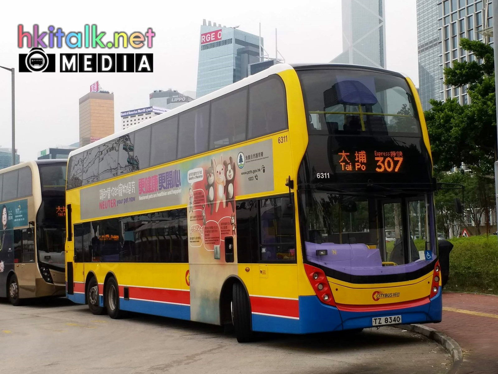 6311.jpg