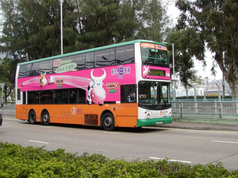 n_5019_4.jpg
