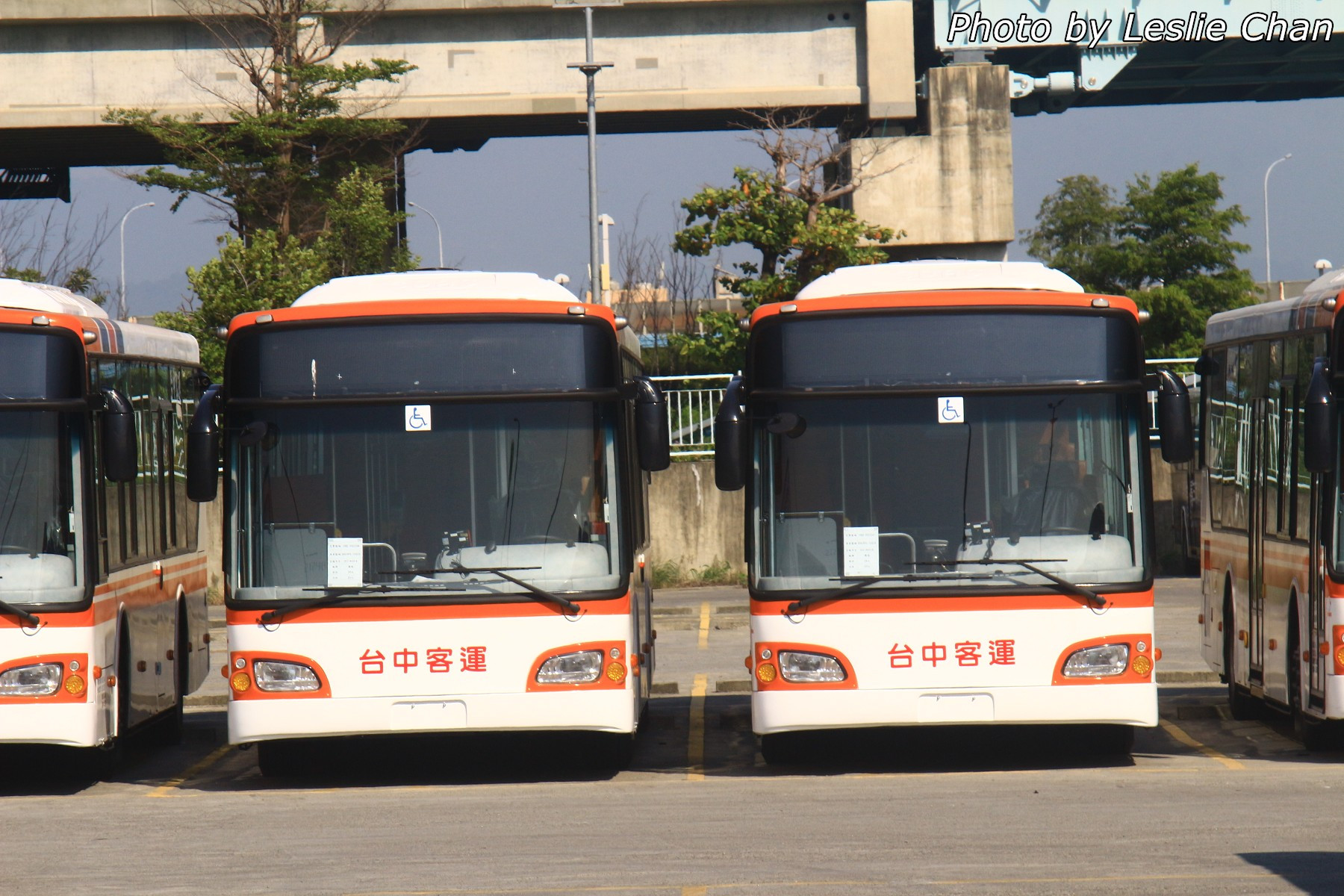 Hino_IMG_5672.jpg