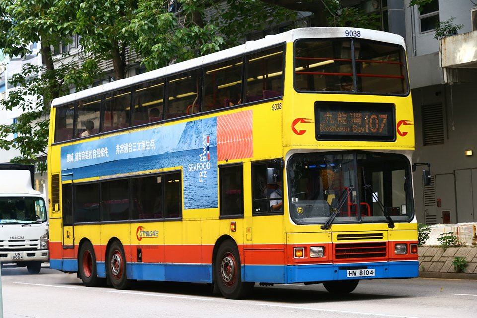 9038.jpg