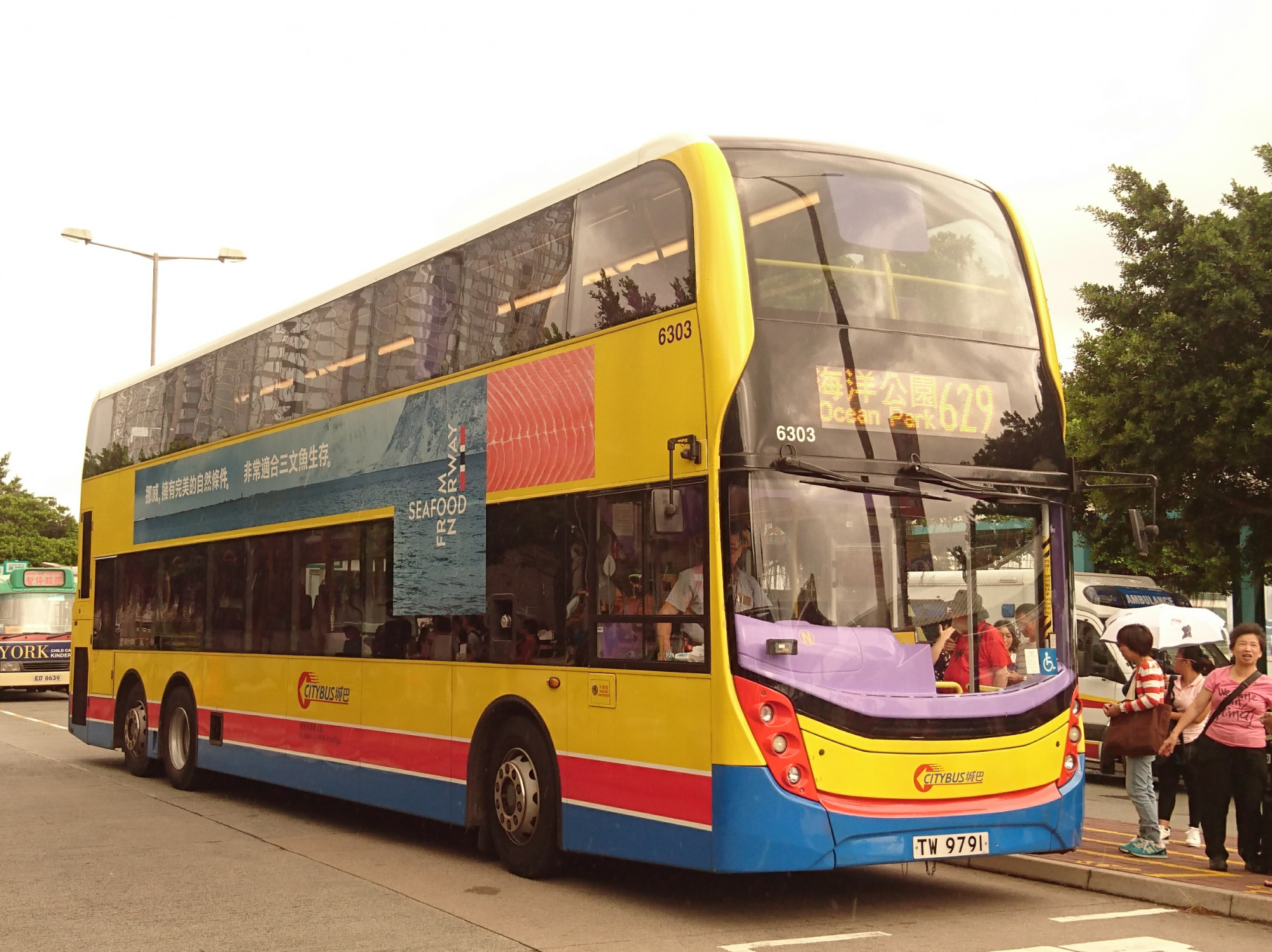 DSC_7726.jpg