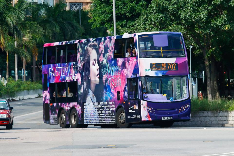702.jpg