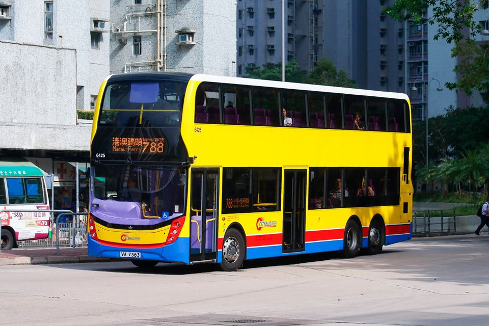 6425 788.jpg