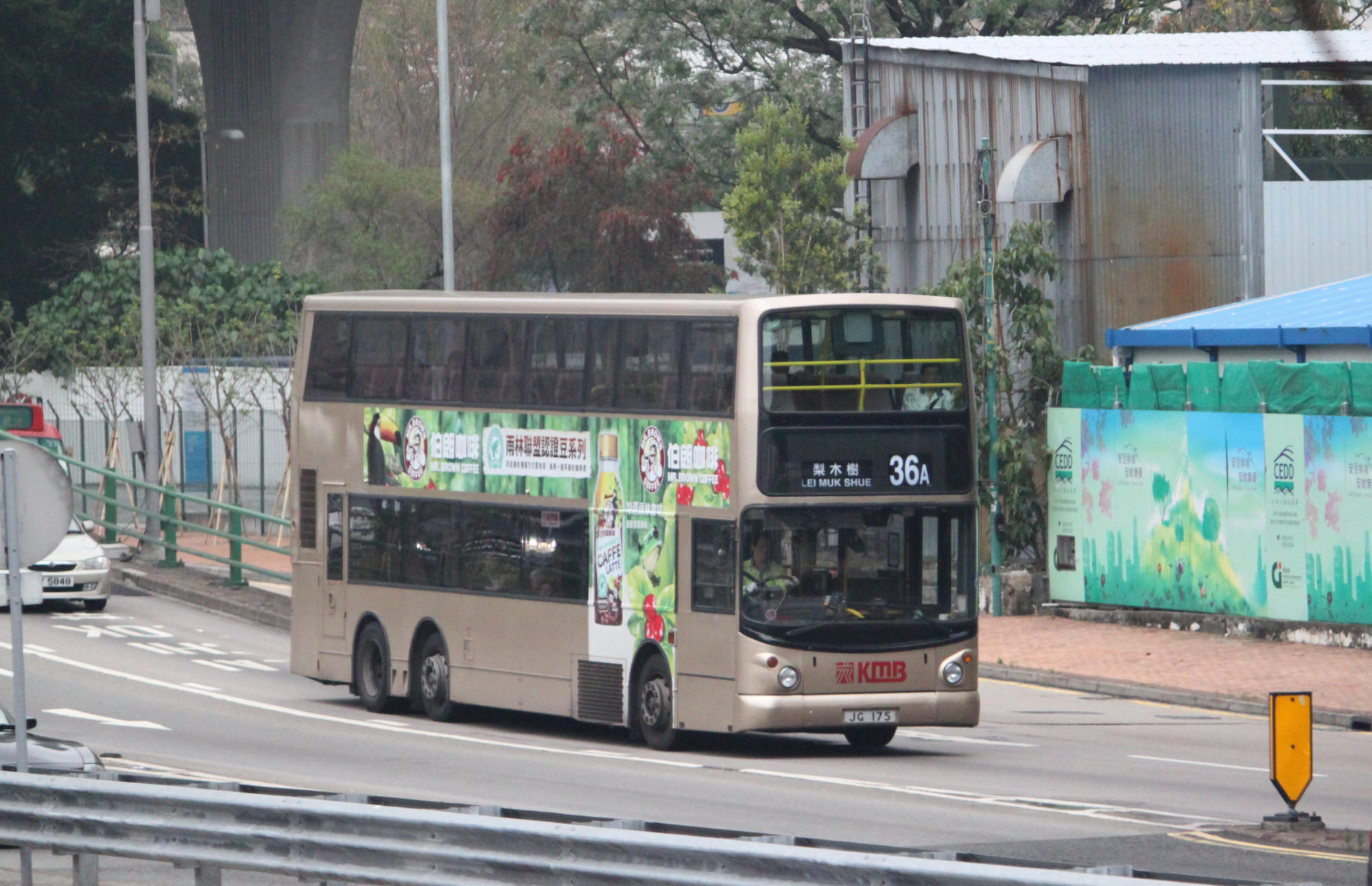 JG175.JPG