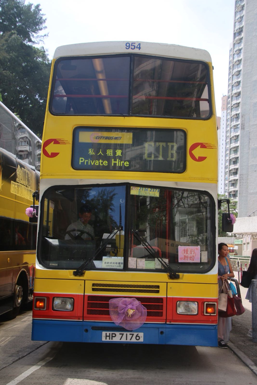 954 (2).jpeg