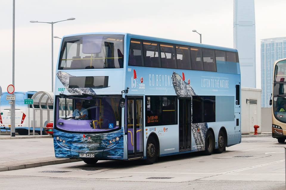 5597 2A.jpg