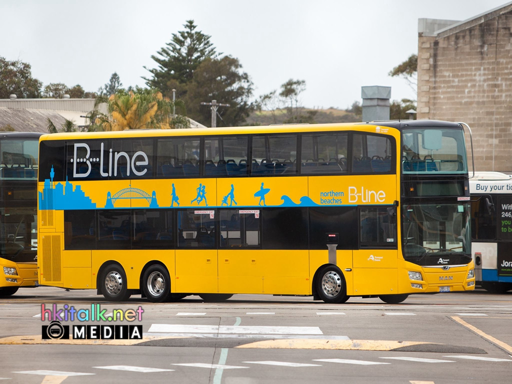 B-line (2).jpg