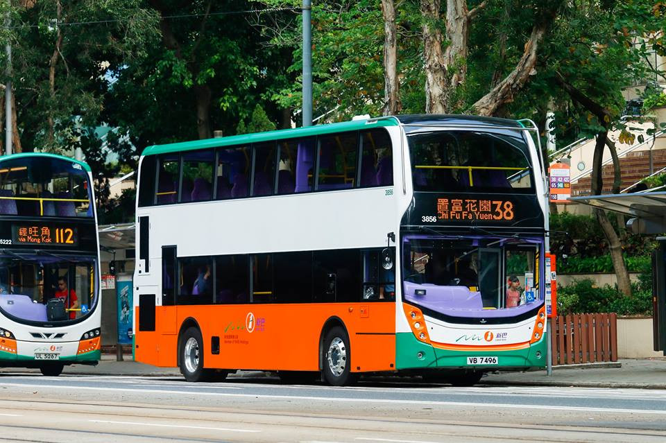 3856.jpg