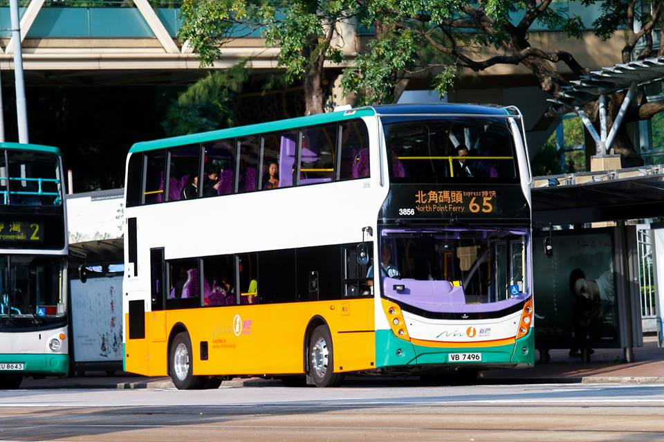 3856 65.jpg
