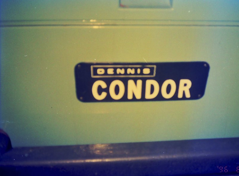 condor_1_1.jpg
