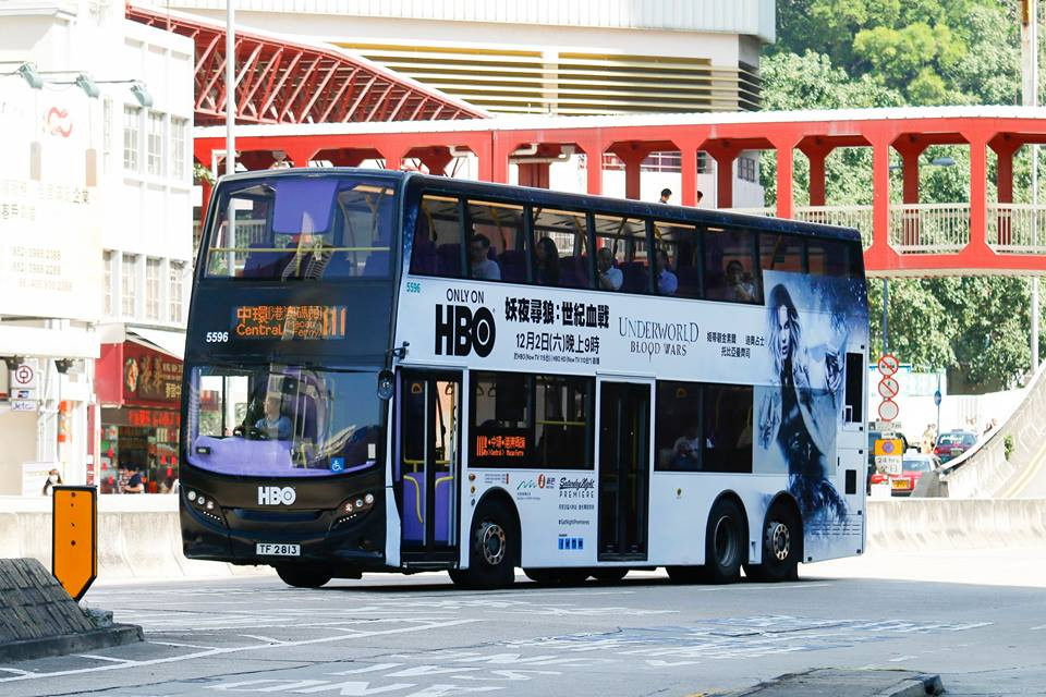 5596.jpg