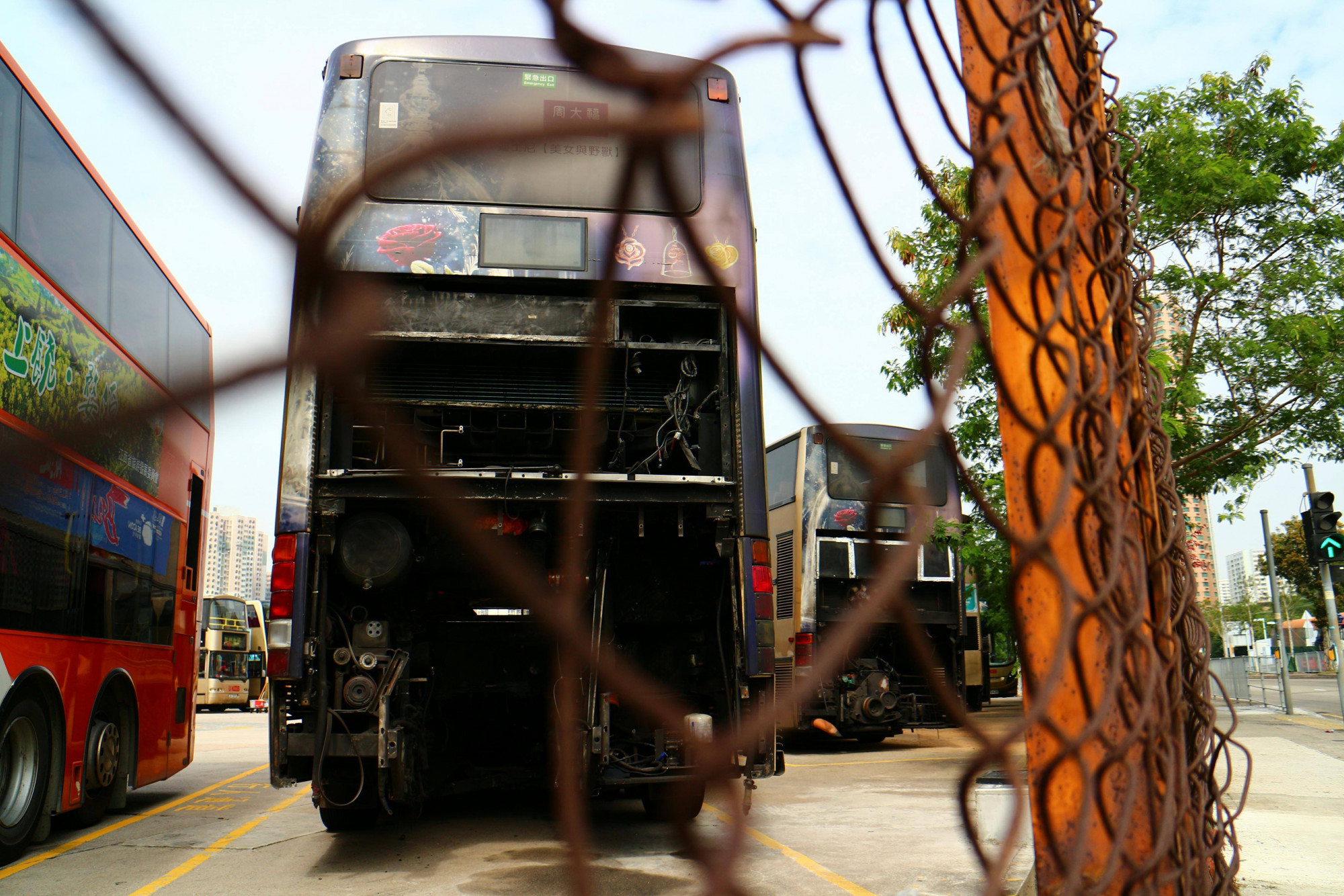 TMD AP (4).jpg