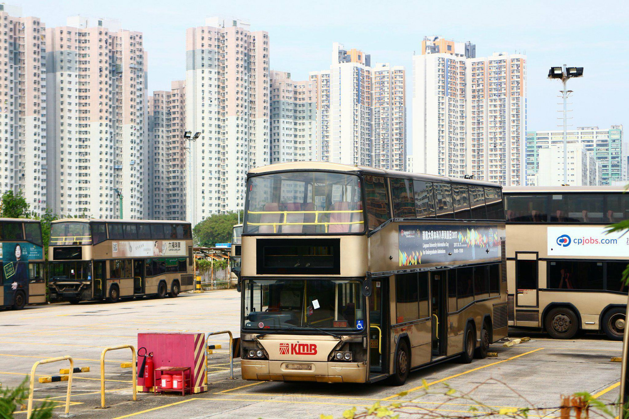 TMD AP (1).jpg