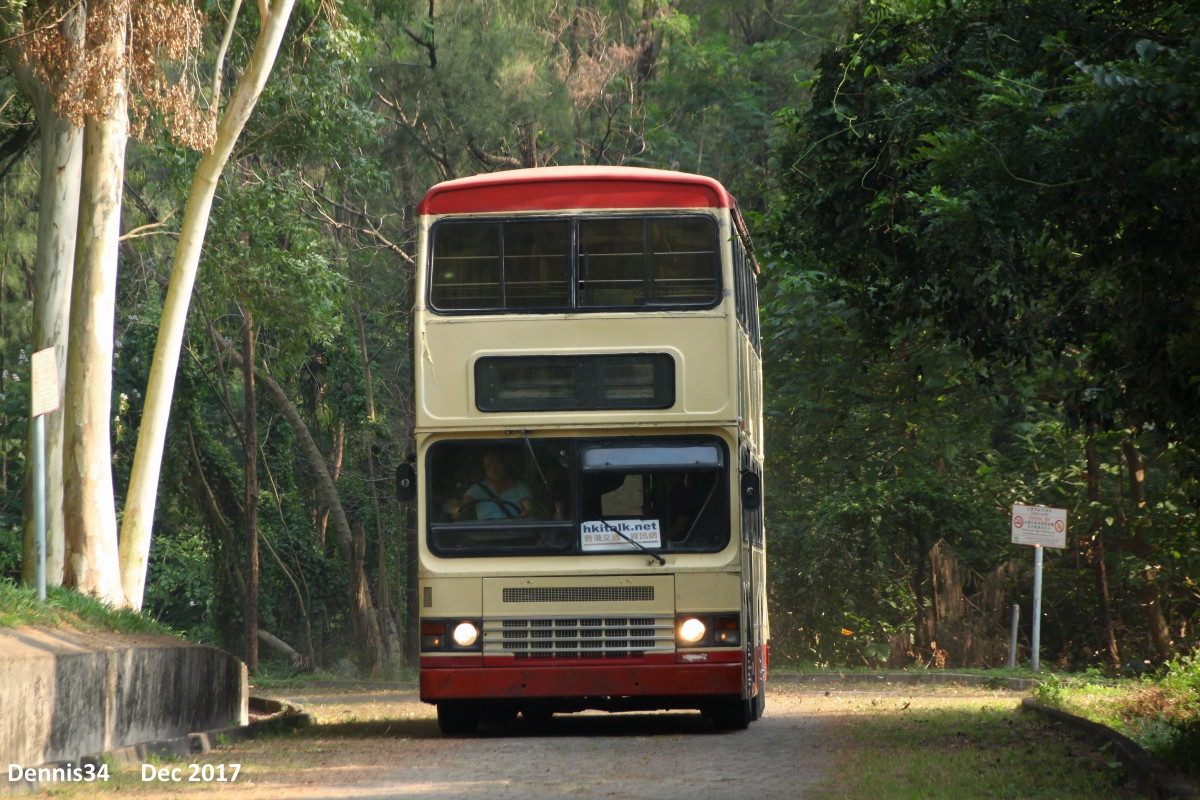 O17155.jpg