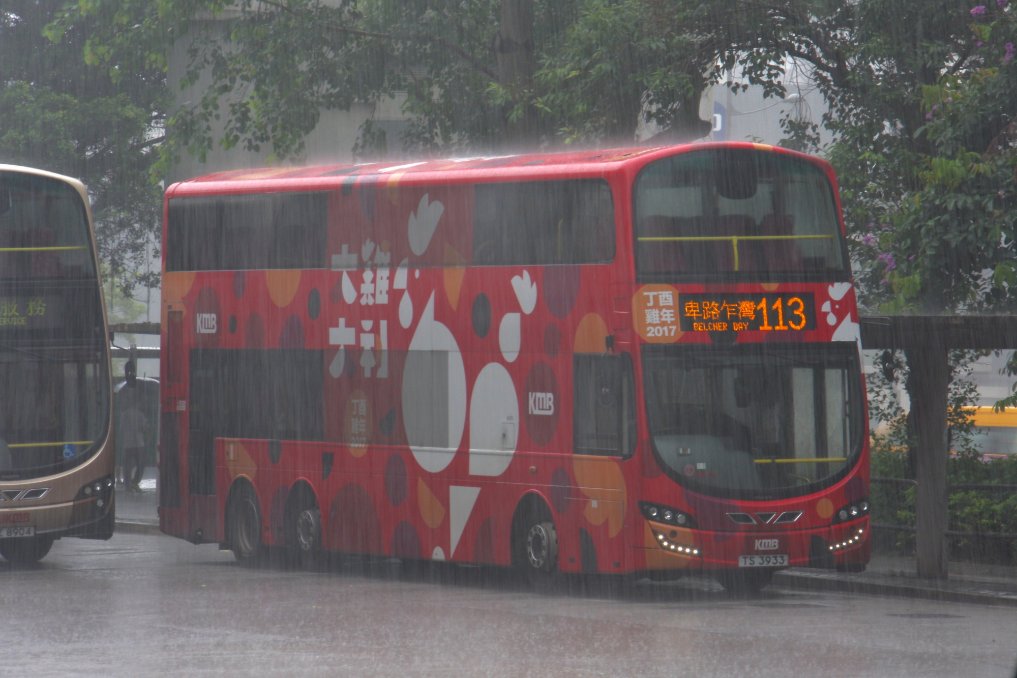TS3933@113.jpg