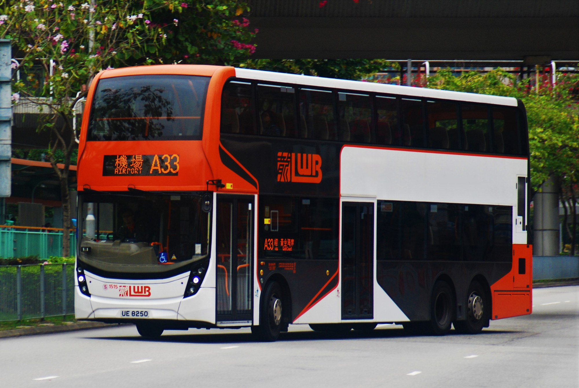 DSC_2460.JPG