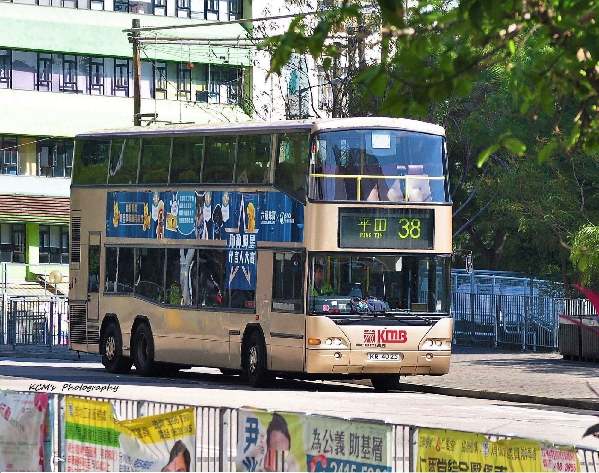 DSC_1965.JPG