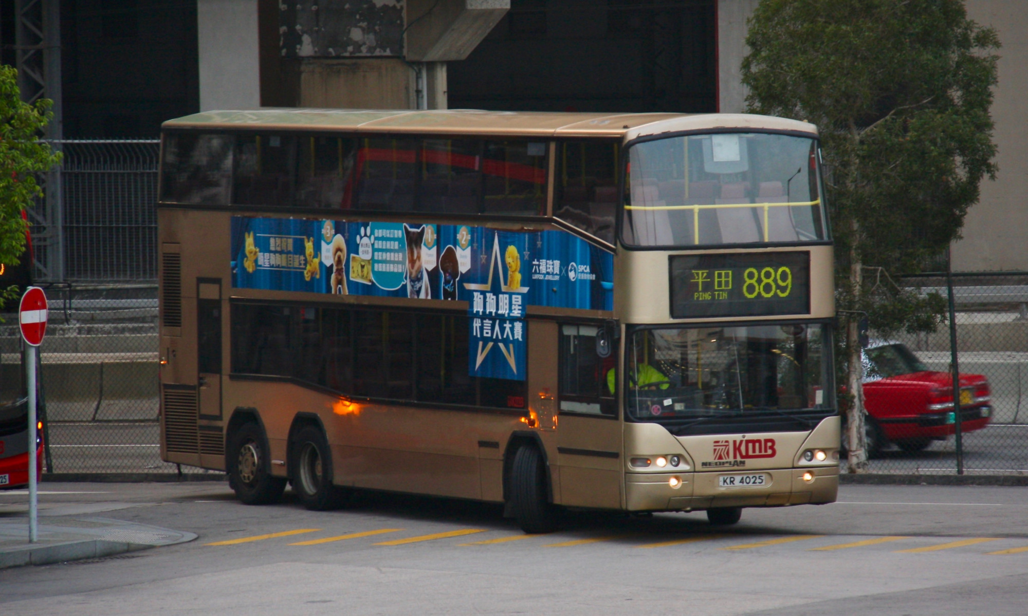 IMG_3629.jpg
