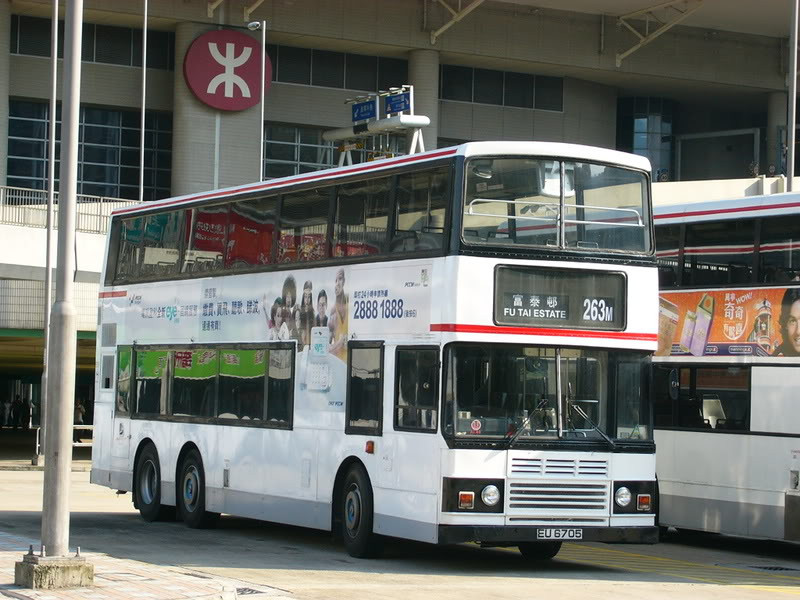 P1010243.jpg